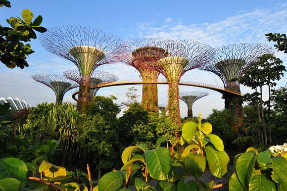 Garden by The Bay