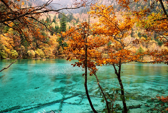 Five Flowers Lake 五花海