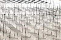 Nets for Seaweed Farming