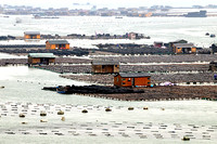 Floating houses