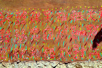 Dongba language of the Naxi people 东巴文
