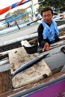 Caught a barracuda