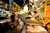 Tsukiji Fish Market 築地市场