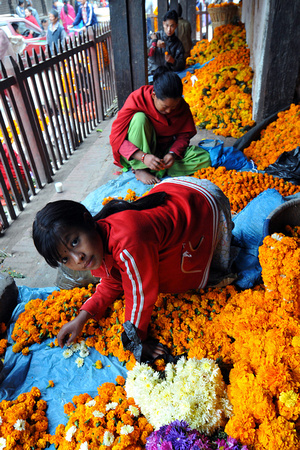 Flowers to offer to gods