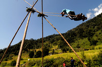 Bamboo Swing