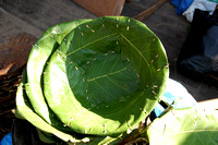 Leaf bowl -Excellent invention for saving the environment