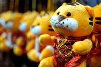 Chinese New Year 春节 2010